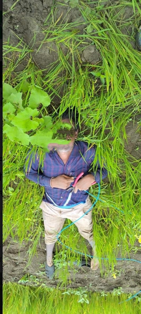 35e276a4-07f7-4f56-a456-b74820e3075e