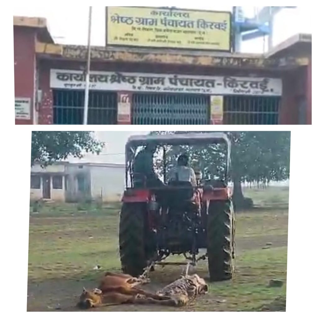 WhatsApp Image 2025-09-21 at 10.43.41 AM