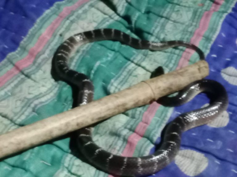 b015b538-b5be-4923-bcdf-2600d27c1b3a