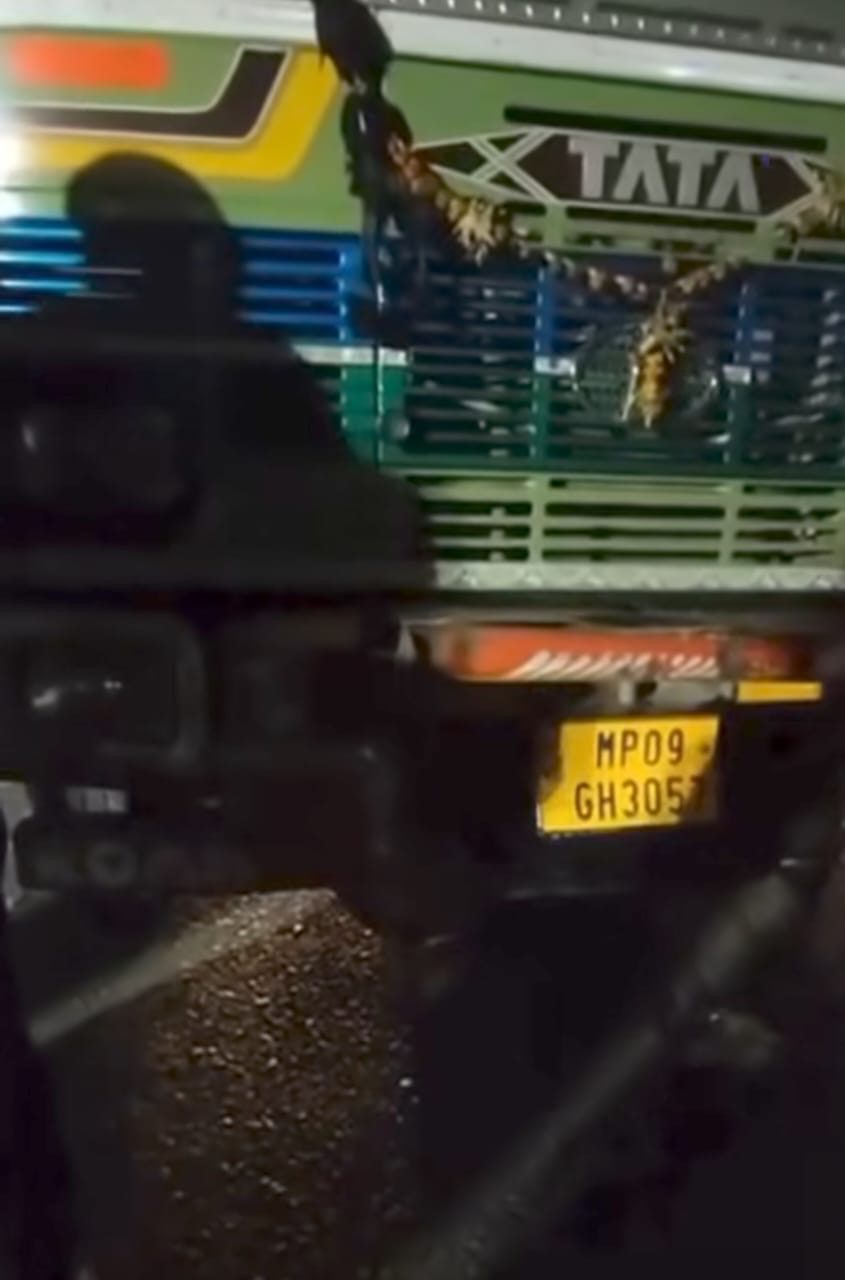 4e395255-609d-46d1-ab35-398a5679a9b6