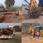 WhatsApp Image 2026-02-06 at 9.00.09 PM