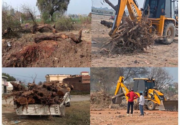 WhatsApp Image 2026-02-06 at 9.00.09 PM