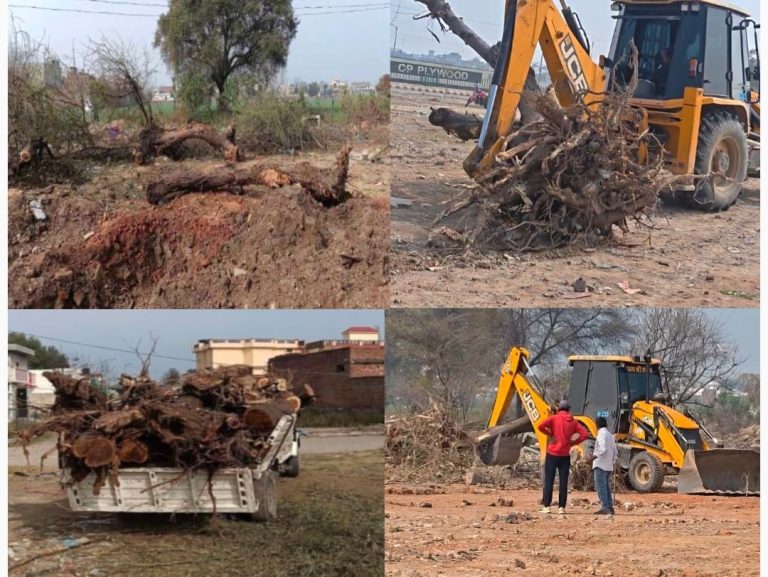 WhatsApp Image 2026-02-06 at 9.00.09 PM