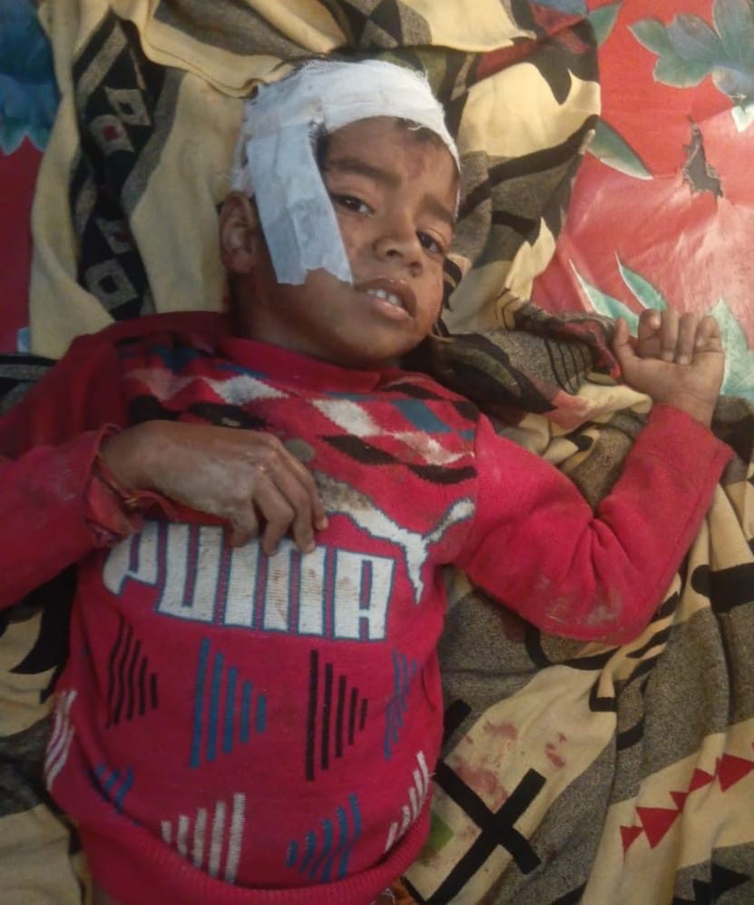 5a990f53-e404-42c3-bd79-9e33956c4fcb