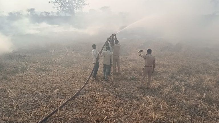 WhatsApp Image 2026-03-15 at 9.46.46 AM