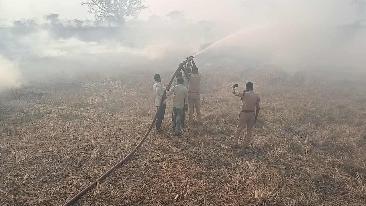 WhatsApp Image 2026-03-15 at 9.46.46 AM